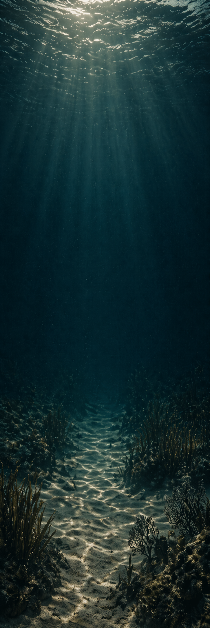 Fondo Kairo