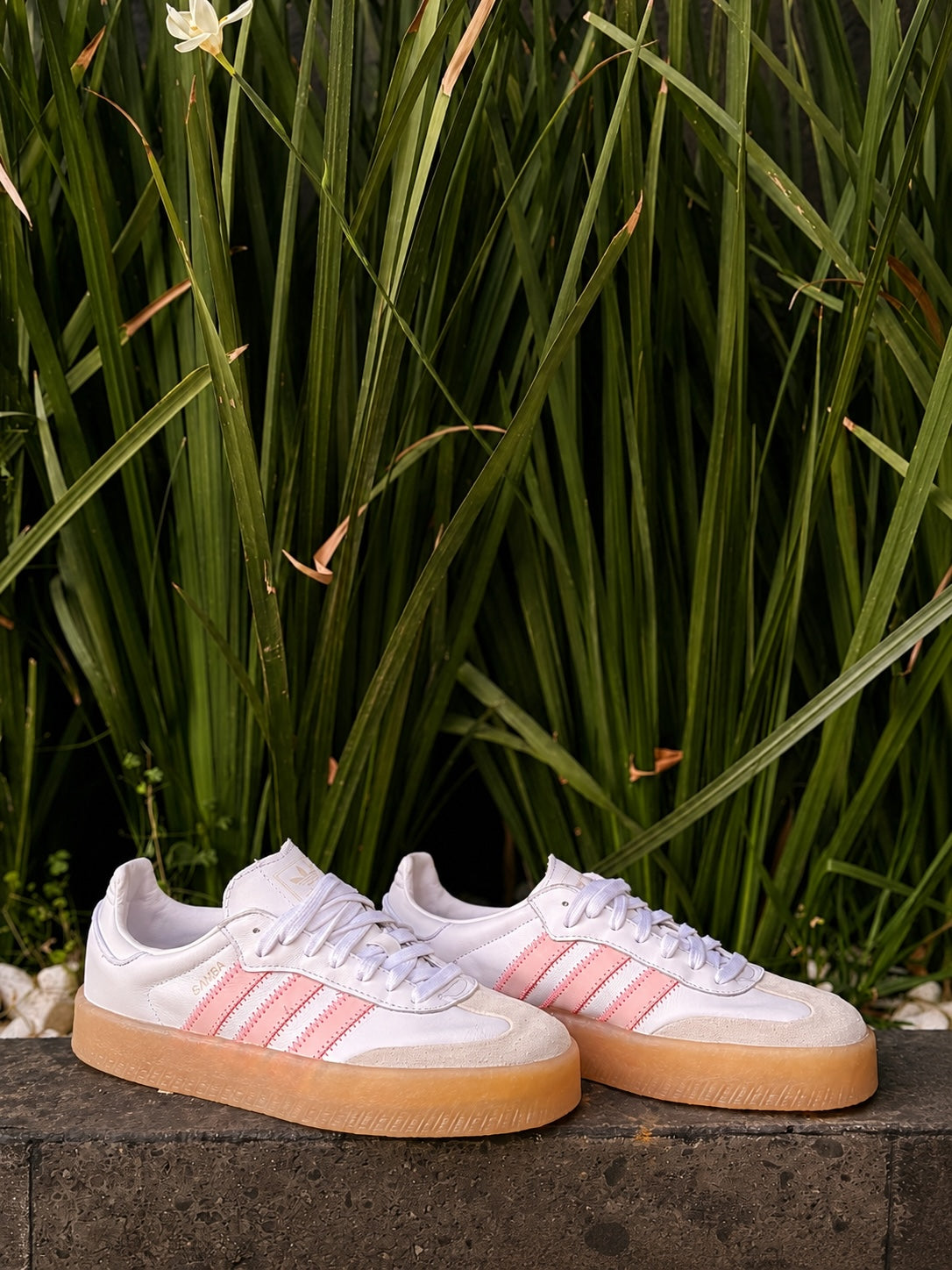 Tenis adidas Samba Platform de 𝐋𝐔𝐀𝐋 en blanco y rosa con suela de goma caramelo y detalles de gamuza.