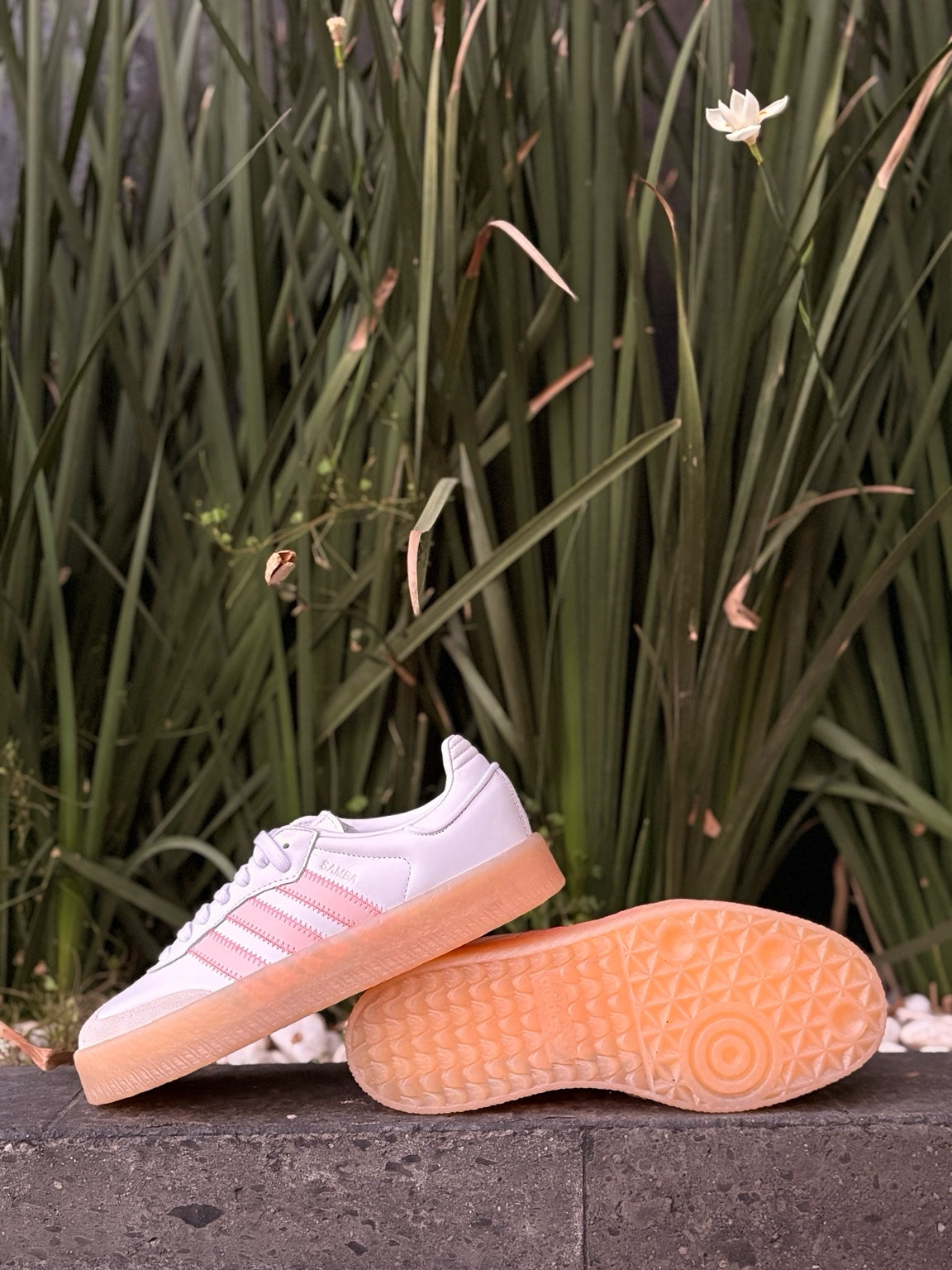 Tenis adidas Samba Platform de 𝐋𝐔𝐀𝐋 en blanco y rosa con suela de goma color caramelo sobre fondo de plantas.